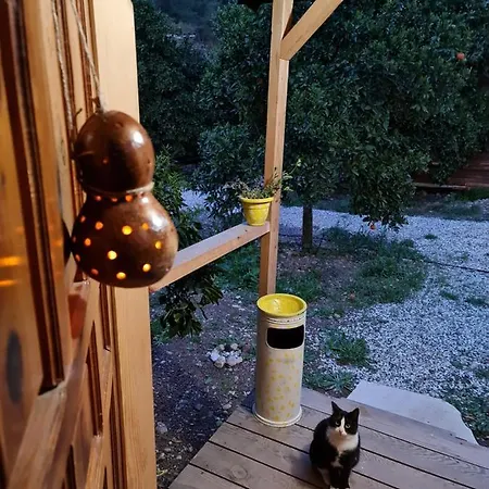 Truva Δωμάτια σε οικογενειακή κατοικία Αττάλεια
