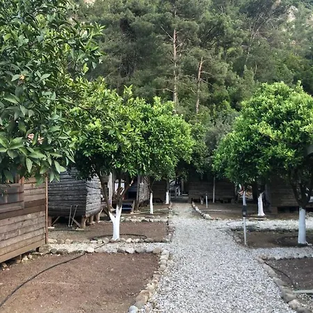 Truva Pansiyon