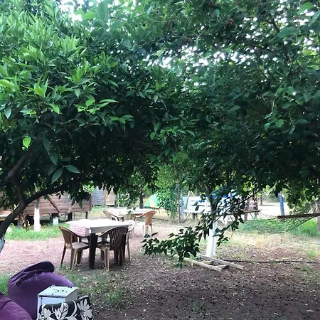 Truva Pansiyon