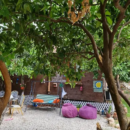 Truva Homestay