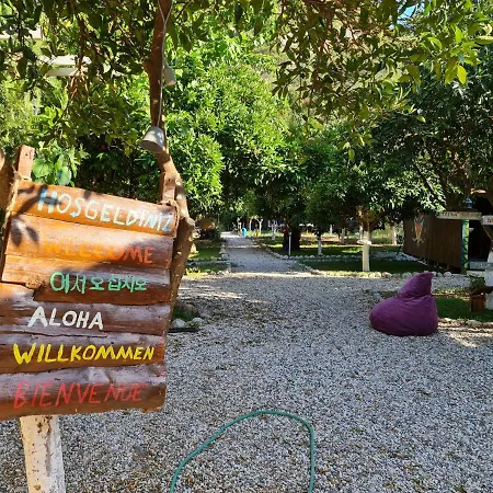 Homestay Truva