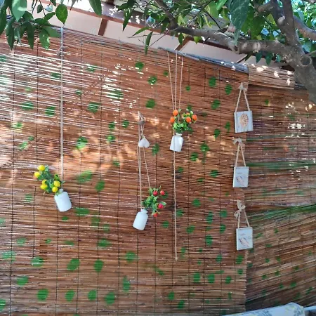 Homestay Truva Antalya